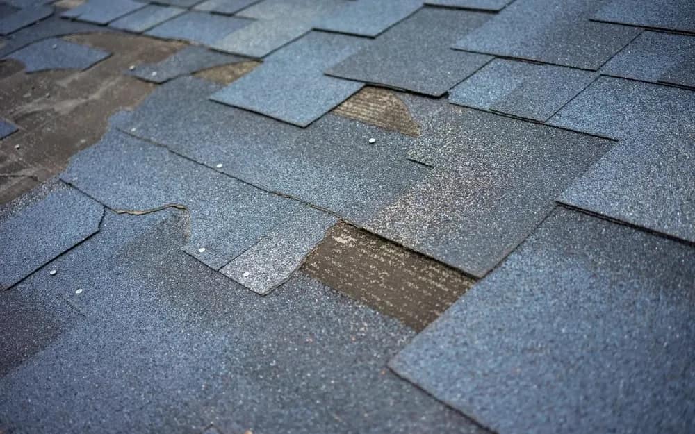 Wind-lifted and displaced asphalt shingles exposing the roof deck after a Gulf Coast storm