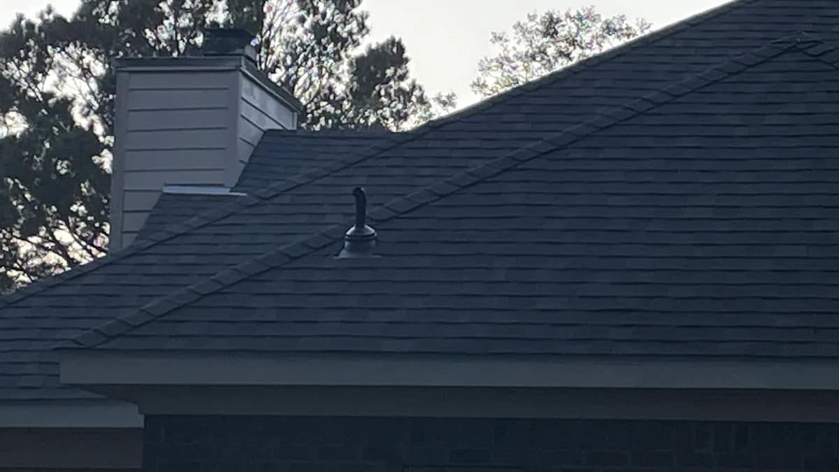 Dark shingle roof plane, chimney chase and roof vent on a Baldwin County home, seen from the ground