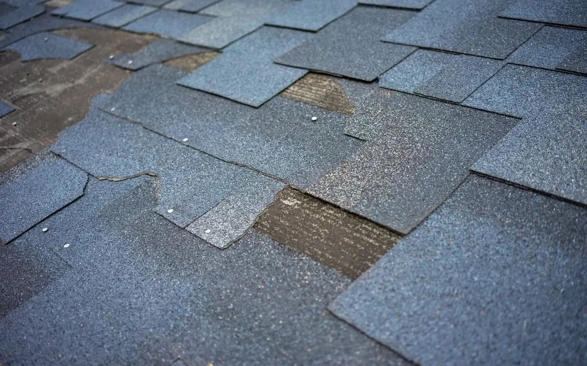Wind-lifted and displaced asphalt shingles exposing the roof deck after a Gulf Coast storm